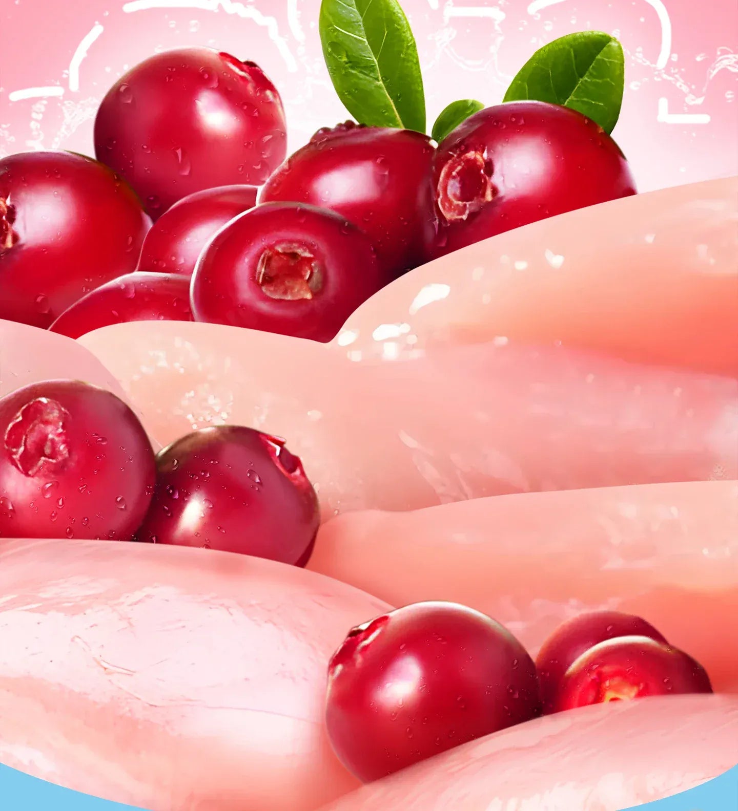 Chanbuni Chicken Cranberry Cat Snacks - Freeze-Dried Meat & Fruit Treats