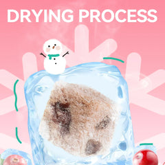 Chanbuni Chicken Cranberry Cat Snacks - Freeze-Dried Meat & Fruit Treats