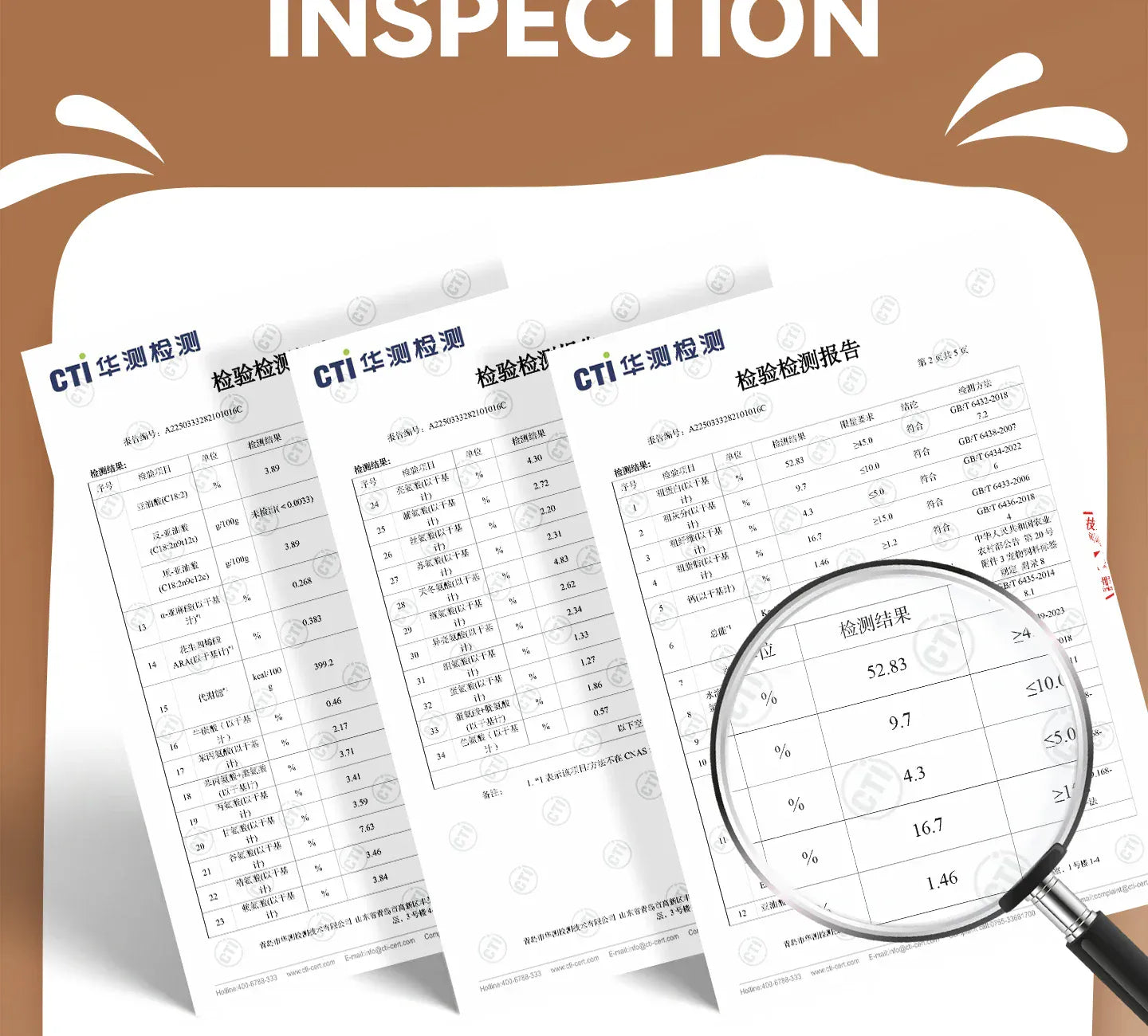 Chanbuni Premium Baked Cat Food | Chicken & Rabbit Recipe | Complete Nutrition for All Cat Breeds