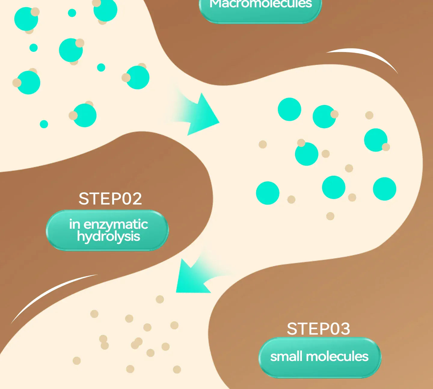 Chanbuni Premium Baked Cat Food | Chicken & Rabbit Recipe | Complete Nutrition for All Cat Breeds