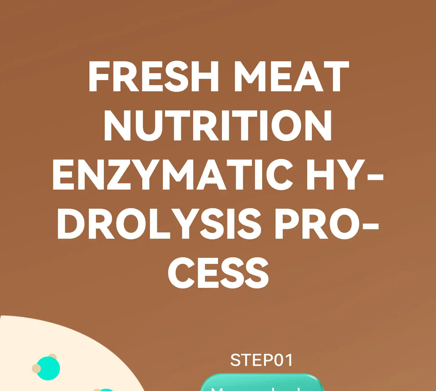 Chanbuni Premium Baked Cat Food | Chicken & Rabbit Recipe | Complete Nutrition for All Cat Breeds