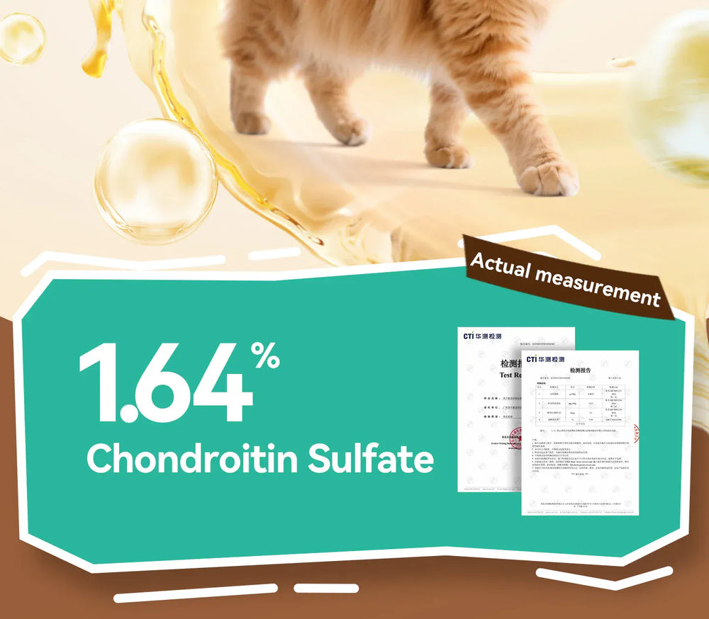 Chanbuni Premium Baked Cat Food | Chicken & Rabbit Recipe | Complete Nutrition for All Cat Breeds