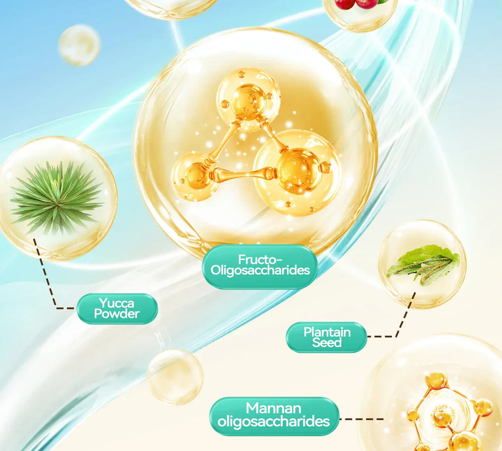 Chanbuni Premium Baked Cat Food | Chicken & Rabbit Recipe | Complete Nutrition for All Cat Breeds