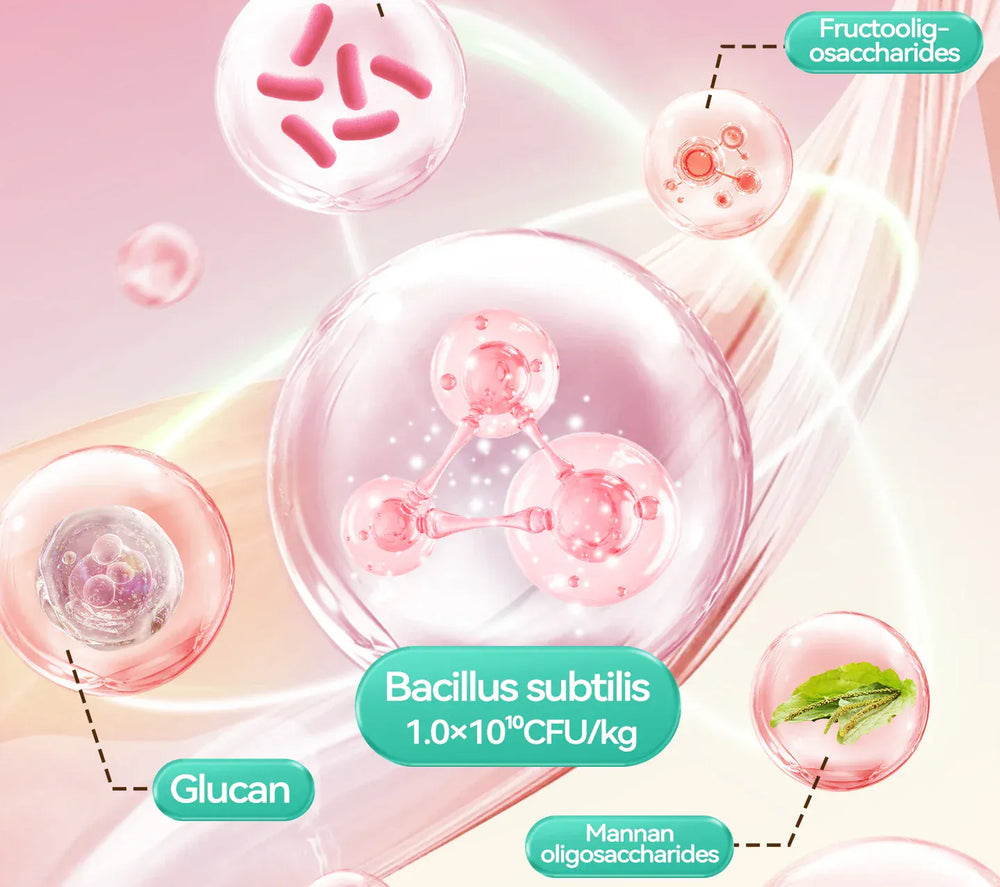 Chanbuni Premium Baked Cat Food | Chicken & Rabbit Recipe | Complete Nutrition for All Cat Breeds