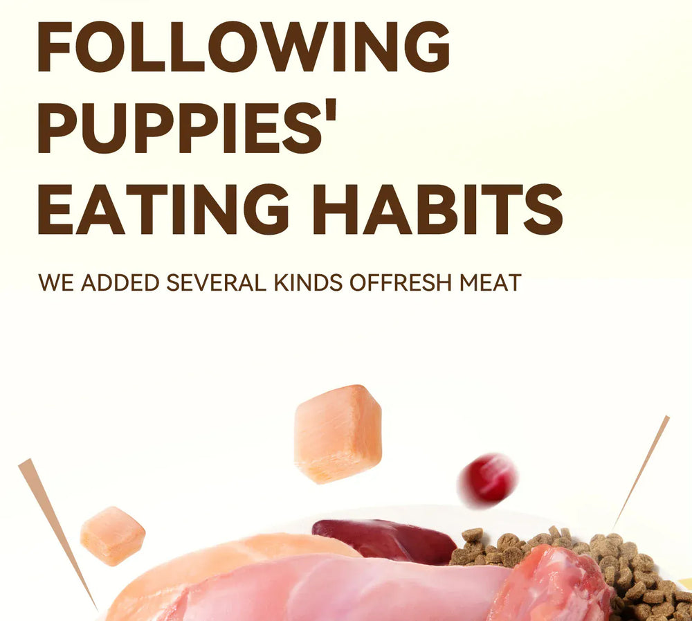 Chanbuni Premium Baked Cat Food | Chicken & Rabbit Recipe | Complete Nutrition for All Cat Breeds