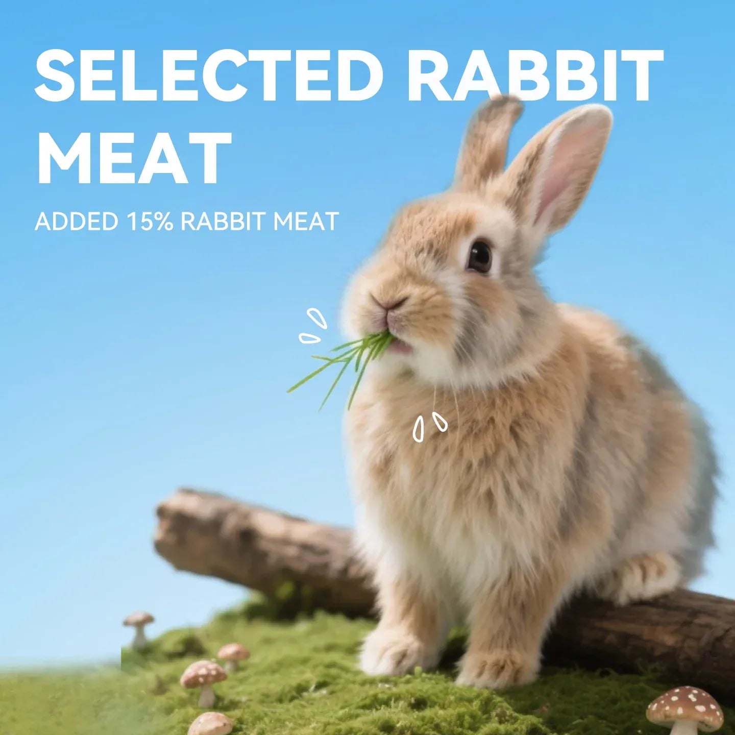 Chanbuni Premium Baked Cat Food | Chicken & Rabbit Recipe | Complete Nutrition for All Cat Breeds