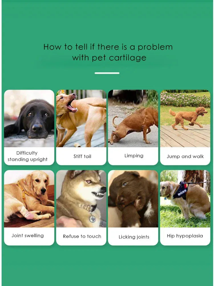 Chondroitin Tablets for Dogs - Joint Support Supplement for Senior Dogs, 200 Count Glucosamine & MSM for Hip & Joint Health