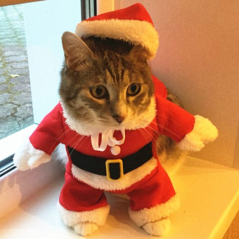Christmas Cat Costume | Santa Claus Outfit for Small Cats & Dogs | Holiday Pet Clothes Xmas & New Year Kitty Outfit