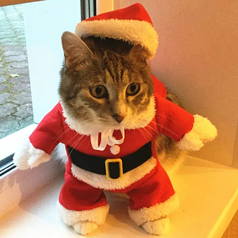 Christmas Cat Costume | Santa Claus Outfit for Small Cats & Dogs | Holiday Pet Clothes Xmas & New Year Kitty Outfit