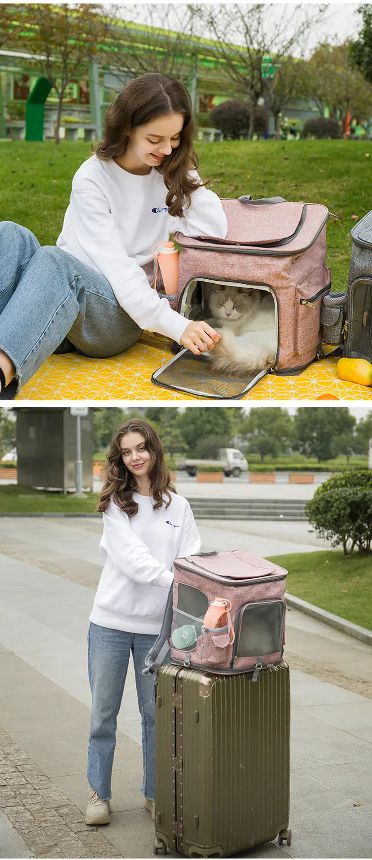 Collapsible Pet Carrier Backpack – Lightweight Foldable Travel Bag with Mesh Windows