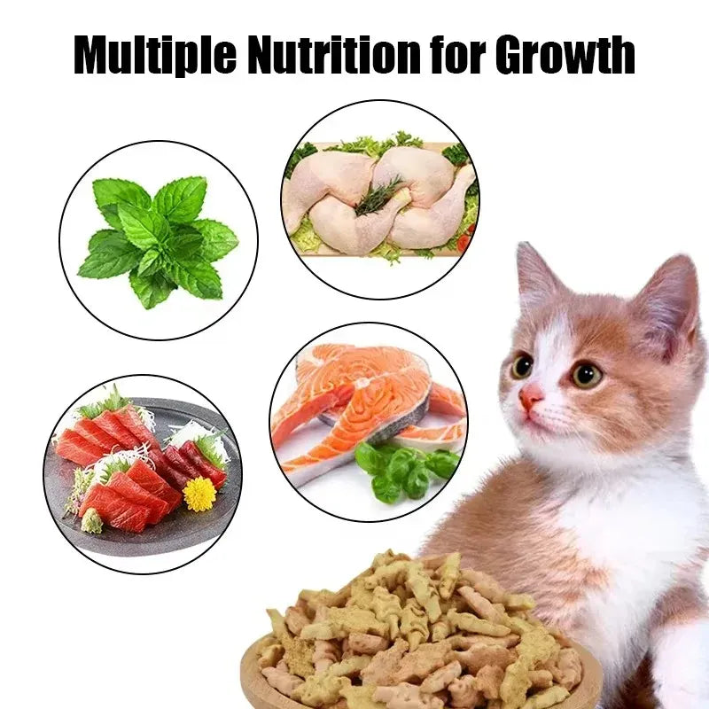 Crispy Cat Biscuits | Salmon, Chicken & Tuna Snacks | Nutritious Catnip & Fish Treats | Healthy & Easy-to-Eat Cat Snacks