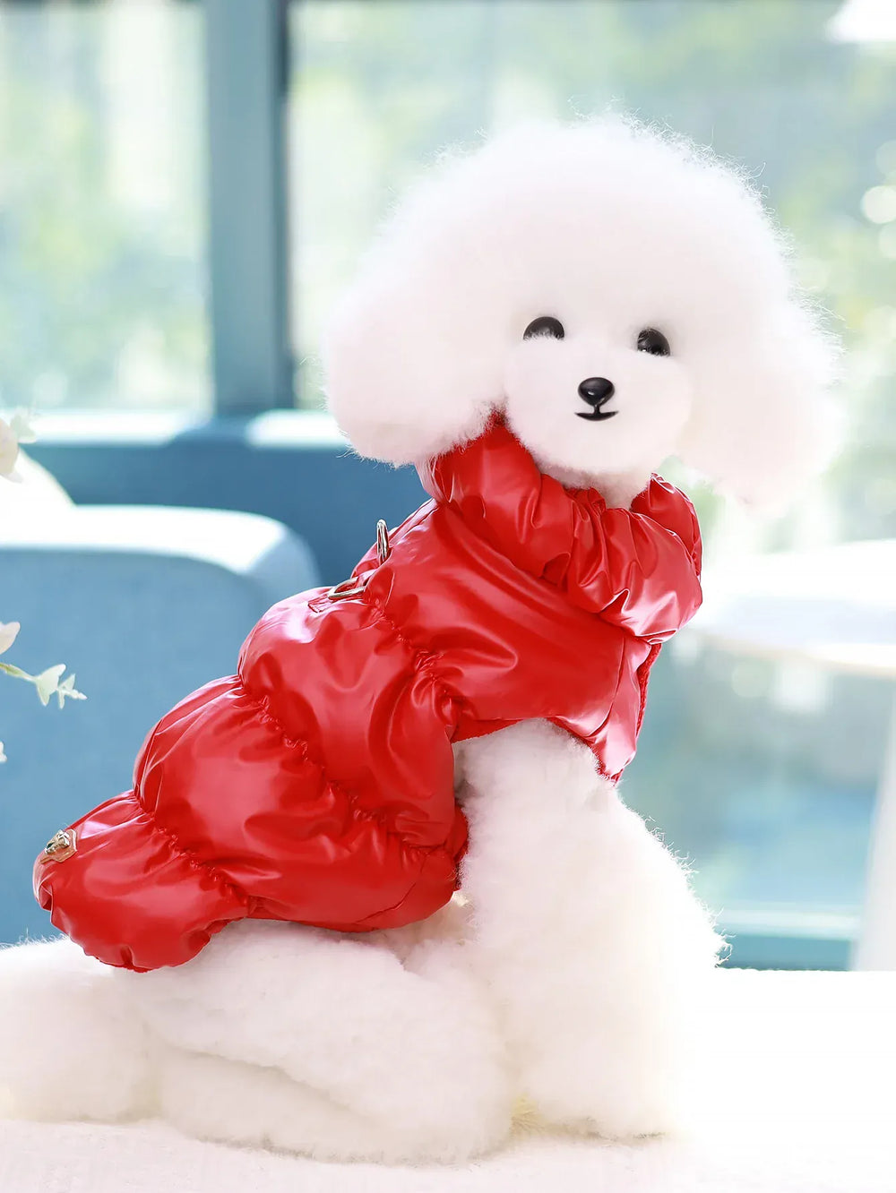 Dog Jacket for Autumn & Winter | 3-Layer Thick Warm Coat for Small & Medium Dogs – Poodle, Teddy, Yorkie Outerwear