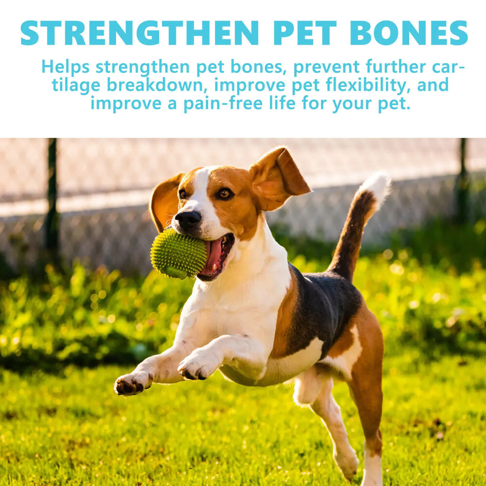 Dog Joint Glucosamine Drops | Hip & Joint Relief Supplement for Dogs | Arthritis & Mobility Support | Bone Strength & Pain Relief Liquid (50ml)