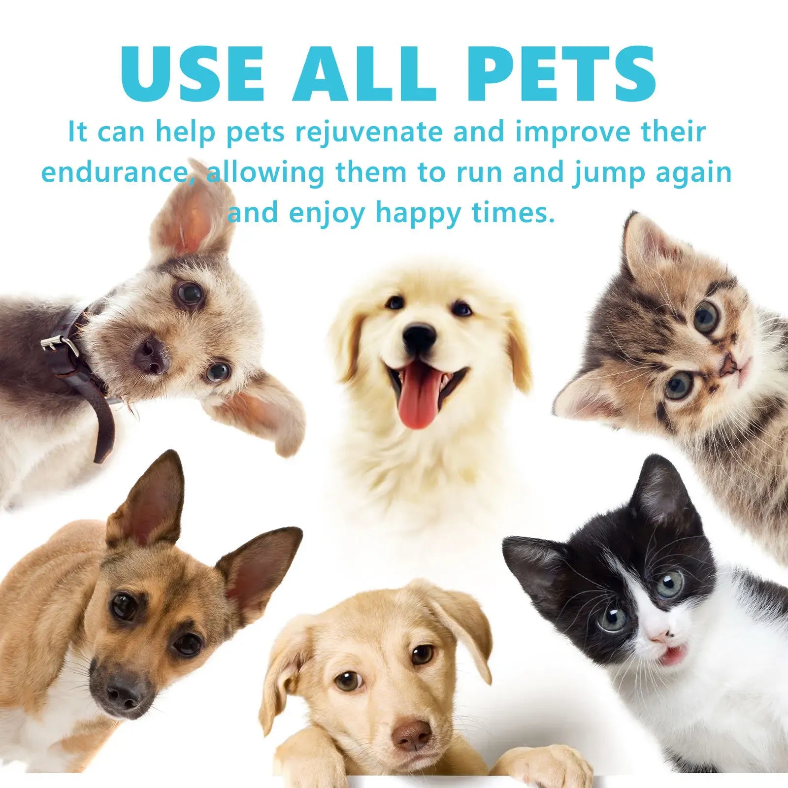 Dog Joint Glucosamine Drops | Hip & Joint Relief Supplement for Dogs | Arthritis & Mobility Support | Bone Strength & Pain Relief Liquid (50ml)