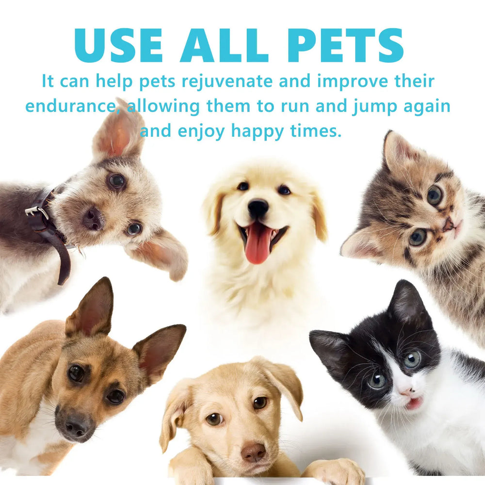 Dog Joint Glucosamine Drops | Hip & Joint Relief Supplement for Dogs | Arthritis & Mobility Support | Bone Strength & Pain Relief Liquid (50ml)