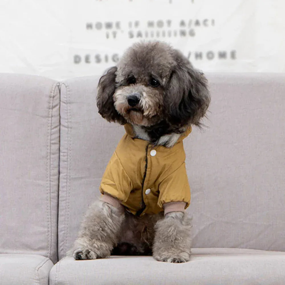 Dog Outdoor HikiDog Outdoor Autumn Winter Warm Hoodie Coat – Fashionable Pet Jacket for Small & Medium DogsAutumn Winter Warm Clothes With Hoodie Fashionable Design Coats Comfortable Polyester Cotton Jacket for Petng