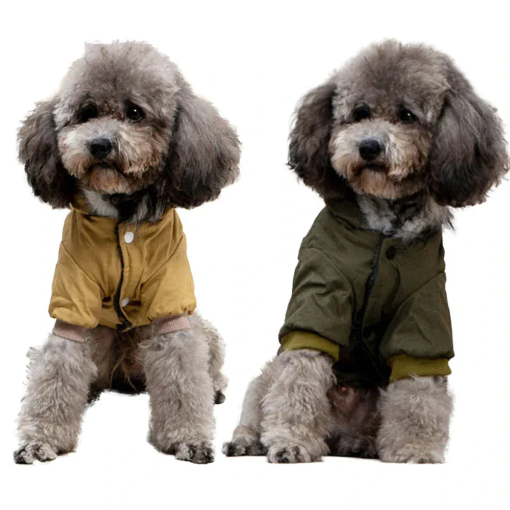 Dog Outdoor HikiDog Outdoor Autumn Winter Warm Hoodie Coat – Fashionable Pet Jacket for Small & Medium DogsAutumn Winter Warm Clothes With Hoodie Fashionable Design Coats Comfortable Polyester Cotton Jacket for Petng