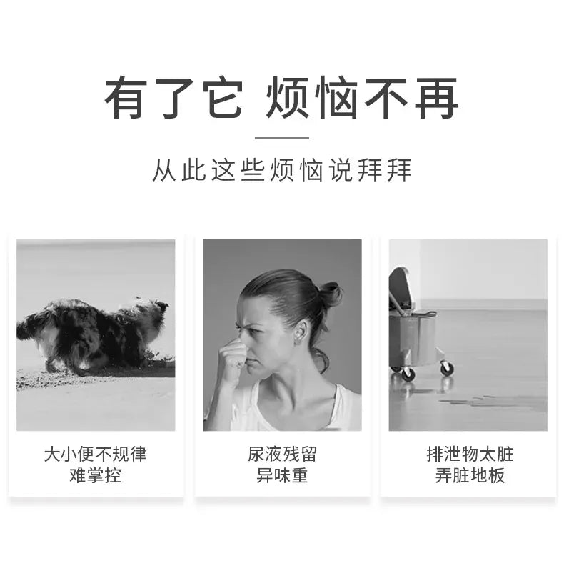 Dog Toilet with Baffle - Anti-Splash Potty Training Pan with Removable Net, Puppy Litter Box for Small Pets and Dogs