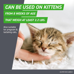 FRONTLINE Plus for Cats Over 1.5 lbs – Flea & Tick Treatment, 6-Month Supply