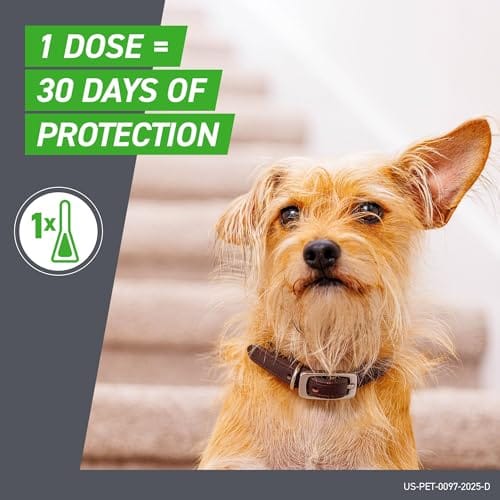 FRONTLINE Plus for Small Dogs (5-22 lbs) – Flea & Tick Treatment, 6-Month Supply