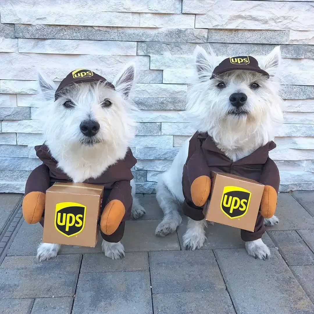 Funny Pet Courier Costume – Role Play Cosplay Outfit for Dogs & Cats
