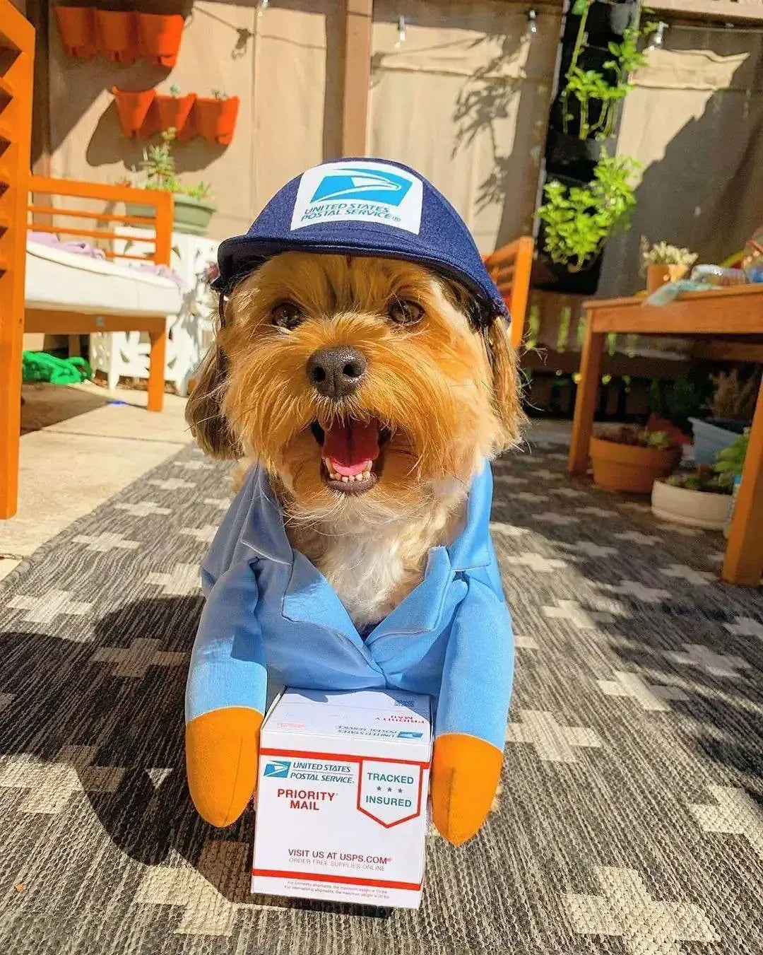 Funny Pet Courier Costume – Role Play Cosplay Outfit for Dogs & Cats