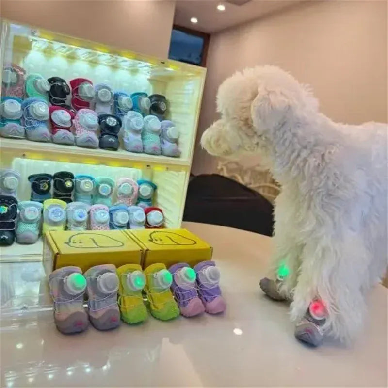 Glowing Dog Shoes & Collar - LED Night Safety Lights for Walking Pet