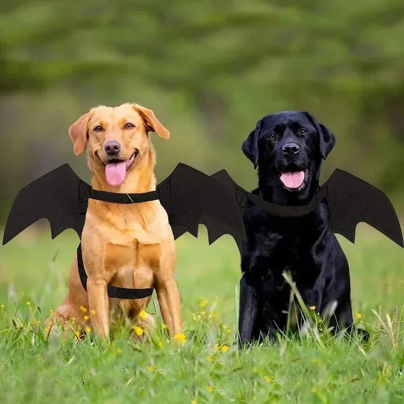 Halloween Bat Wings Pet Ornament Clothes Creative Cats and Dogs Small Dog Clothes Felt Halloween Double Wings