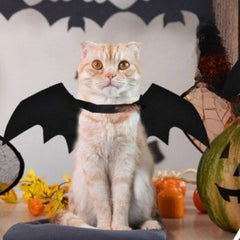 Halloween Bat Wings Pet Ornament Clothes Creative Cats and Dogs Small Dog Clothes Felt Halloween Double Wings