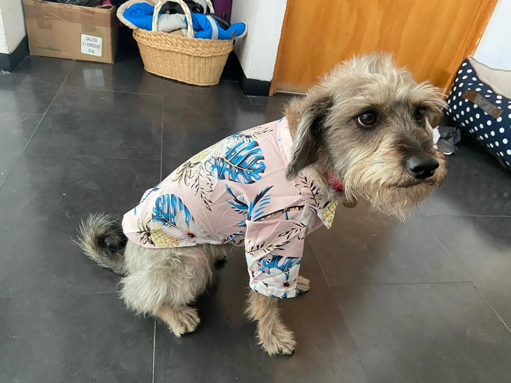 Hawaii Summer Dogs T Shirt For French Bulldog Chihuahua Clothes For Small Dogs Puppy Vest Yorkie Clothing Cats Pet Products