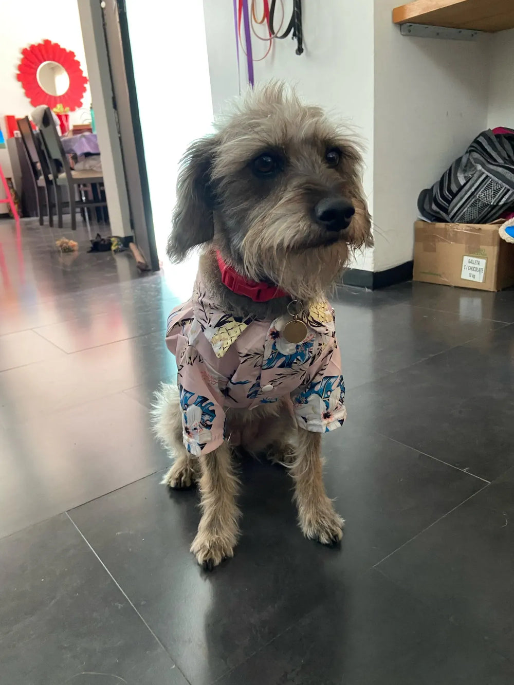 Hawaii Summer Dogs T Shirt For French Bulldog Chihuahua Clothes For Small Dogs Puppy Vest Yorkie Clothing Cats Pet Products