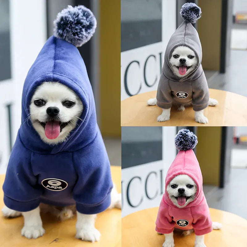 Hooded Velvet Dog Sweater - Cartoon Two-Leg Pet Jacket for All Seasons