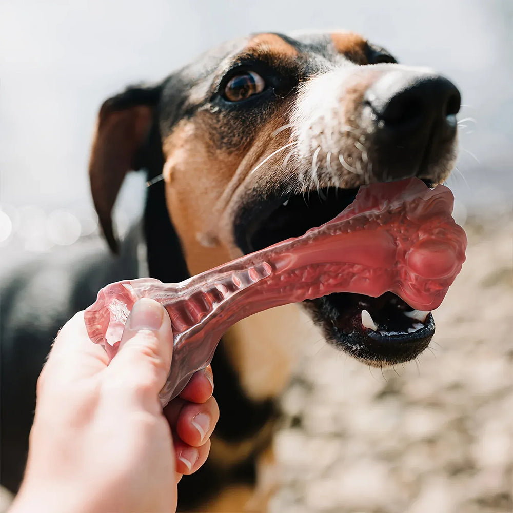Indestructible Chew Toy for Aggressive Chewers – Durable Natural Rubber Bone for Teeth Cleaning