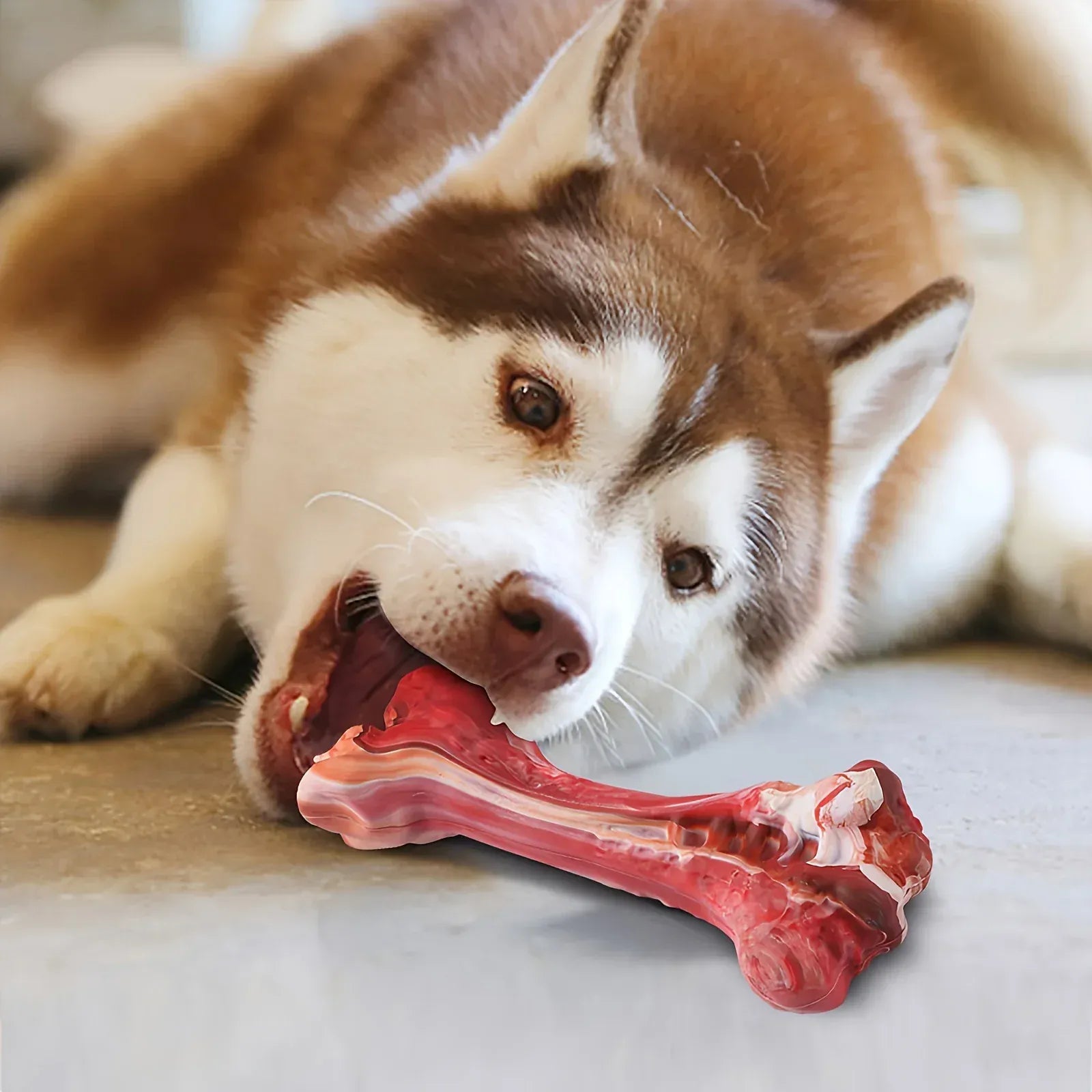 Indestructible Chew Toy for Aggressive Chewers – Durable Natural Rubber Bone for Teeth Cleaning