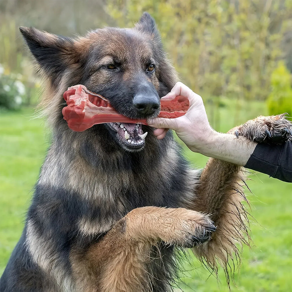 Indestructible Chew Toy for Aggressive Chewers – Durable Natural Rubber Bone for Teeth Cleaning