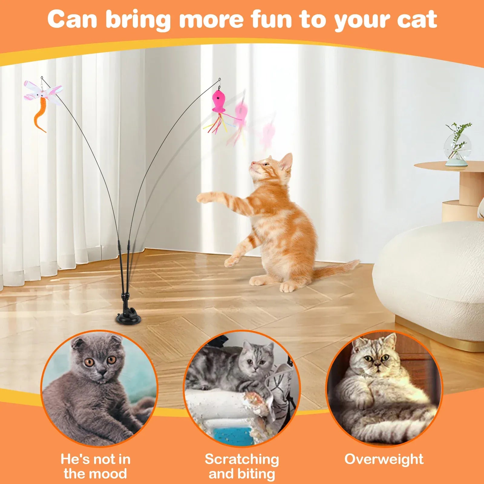 Interactive Cat Teaser Stick Set – 13-Piece Detachable Toy with Suction Cup Base & Replacement Heads