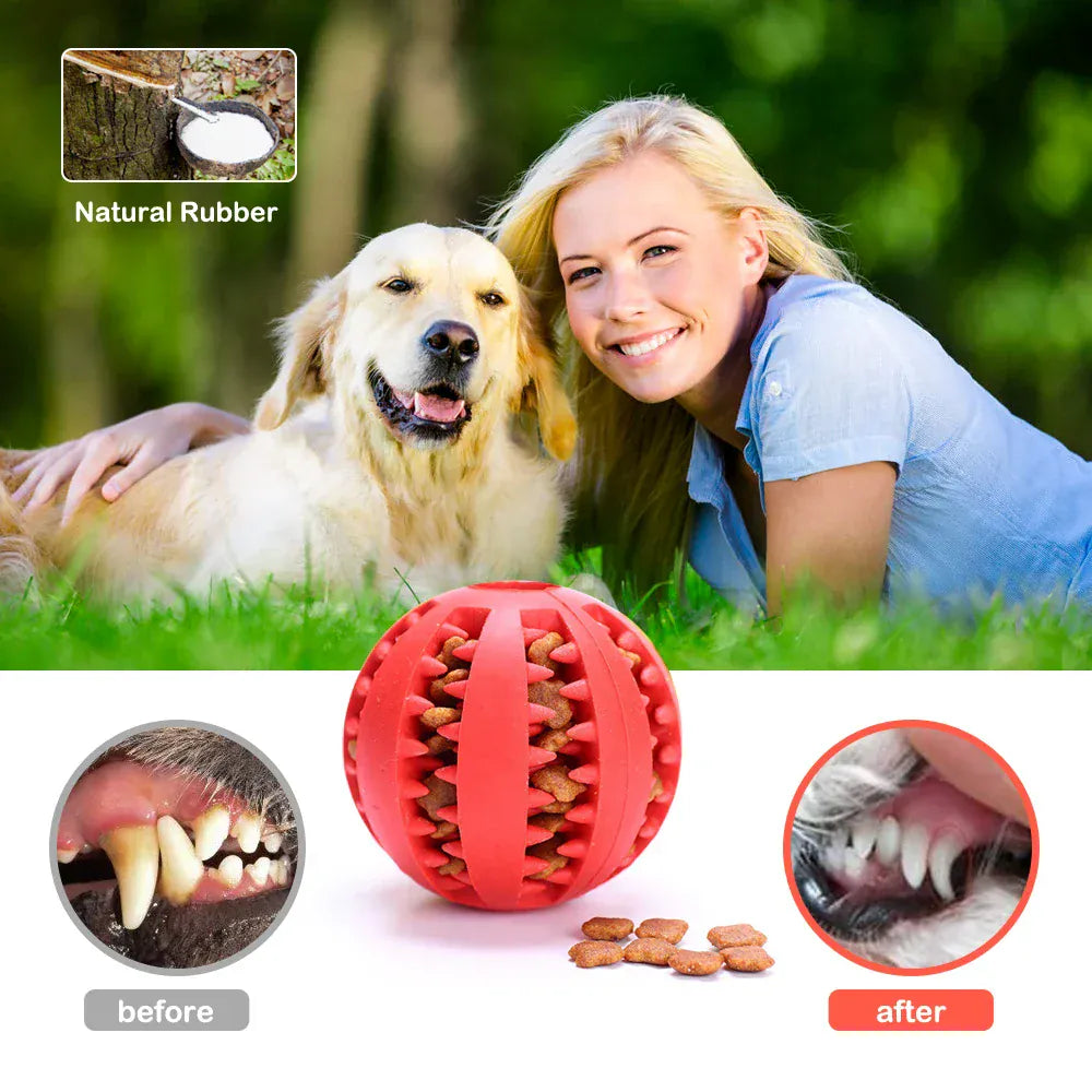 Interactive Rubber Dog Ball - Food Dispensing Chew Toy for Teeth Cleaning