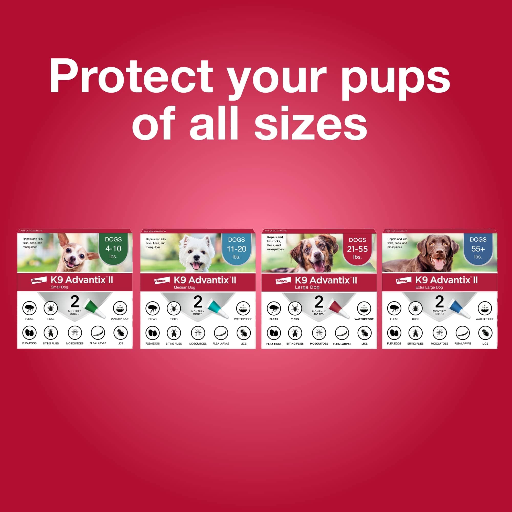 K9 Advantix II Large Dog – Vet-Recommended Flea, Tick & Mosquito Treatment for Dogs 21-55 lbs, 4-Month Supply