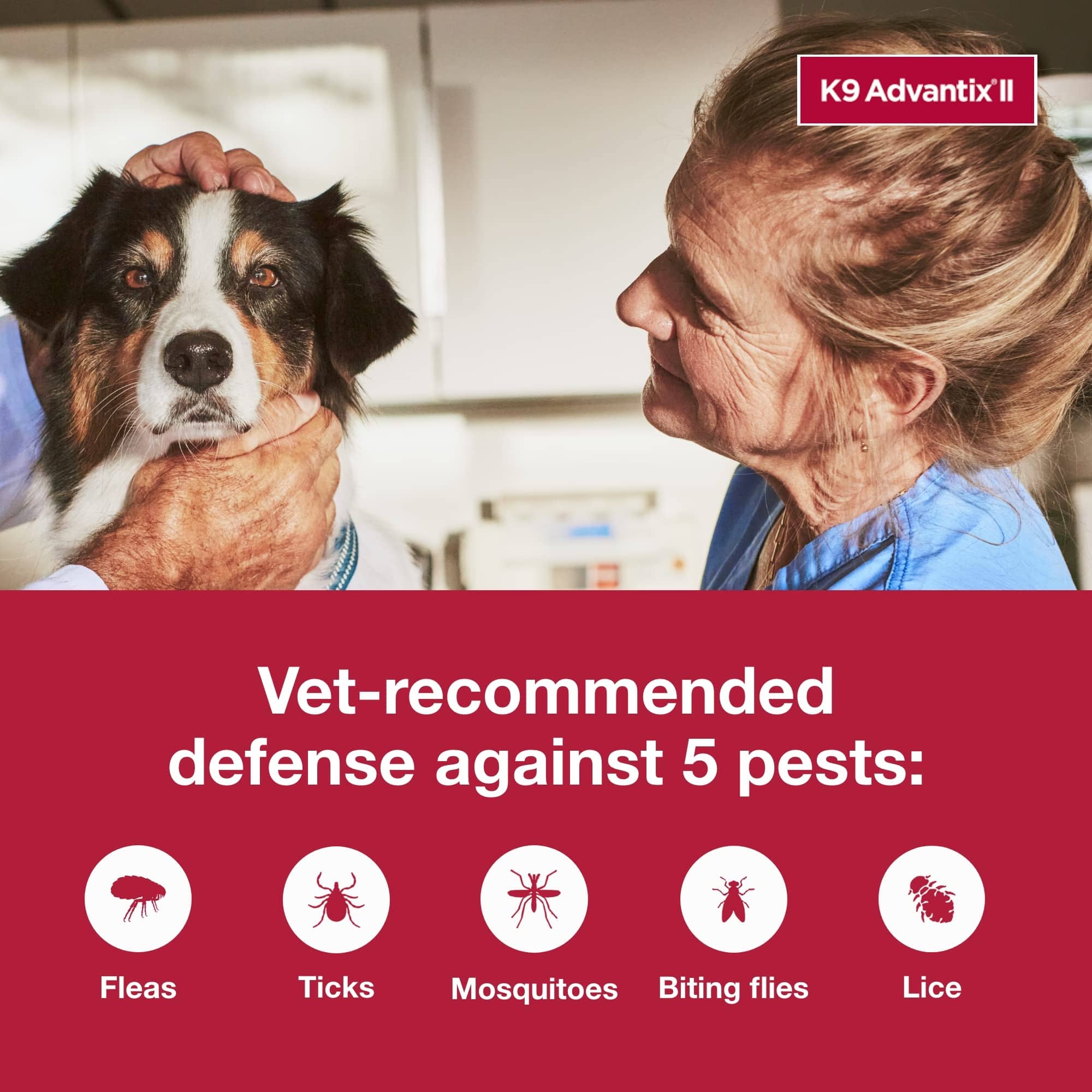 K9 Advantix II Large Dog – Vet-Recommended Flea, Tick & Mosquito Treatment for Dogs 21-55 lbs, 4-Month Supply