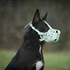 Kangdarpet Leather Dog Muzzle - Bite-Proof Training Cage for Large Breeds