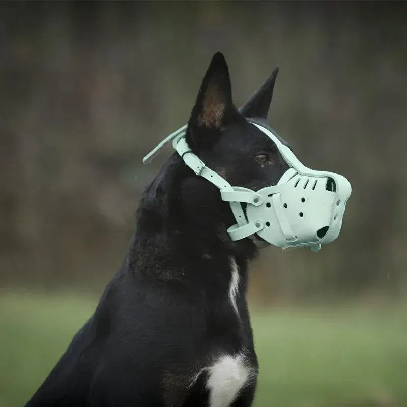 Kangdarpet Leather Dog Muzzle - Bite-Proof Training Cage for Large Breeds