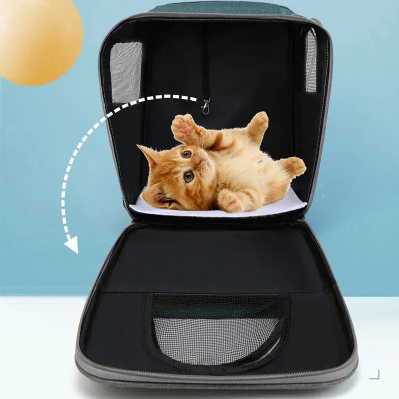Large Cat Carrier Backpack - Three-Sided Breathable Pet Travel Bag with Sun Protection, Thickened Wear-Resistant Pet Luggage