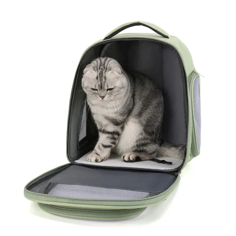 Luxury Pet Carrier Backpack - Portable Folding Travel Bag for Cats & Small Dogs