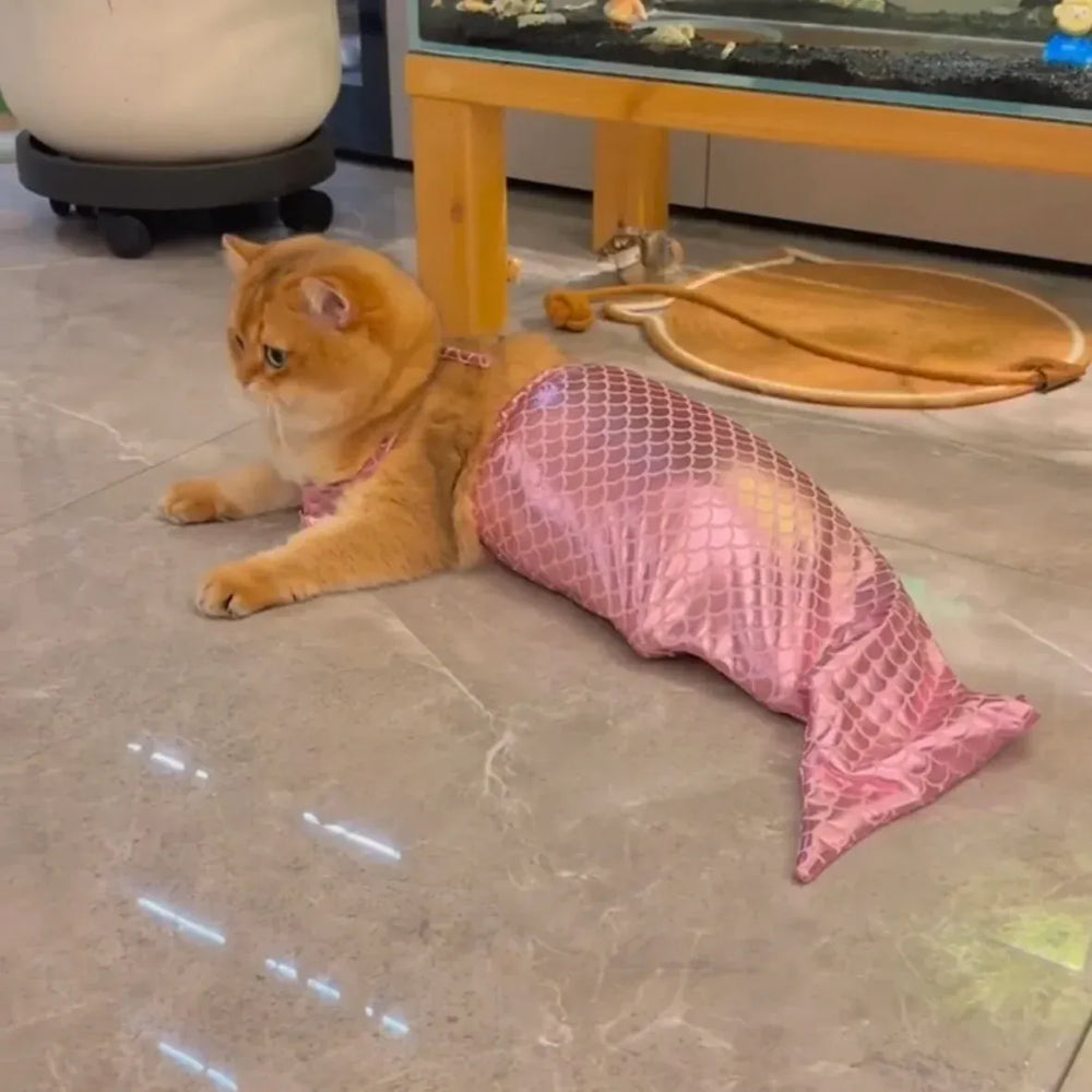 Mermaid Cat Halloween Costumes Sparkly Cosplay Dog Clothes Outfit for Small Kitten Birthday Party Dressing Up Pet Costumes   Cos