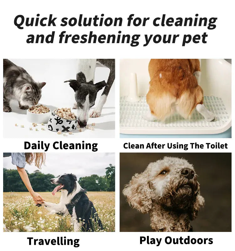 Multi Purpose Pet Wipes for Dogs CatMulti-Purpose Pet Wipes – Plant-Based Deodorizer | Sensitive Skin Care for Dogs & Cats | Odor & Dirt Remover for Paws, Ears & Bodys Plant Based Deodorizer Sensitive Skin Care and Odor Remover for Paws Ears and Body