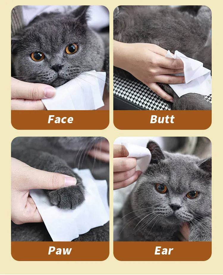 Multi Purpose Pet Wipes for Dogs CatMulti-Purpose Pet Wipes – Plant-Based Deodorizer | Sensitive Skin Care for Dogs & Cats | Odor & Dirt Remover for Paws, Ears & Bodys Plant Based Deodorizer Sensitive Skin Care and Odor Remover for Paws Ears and Body