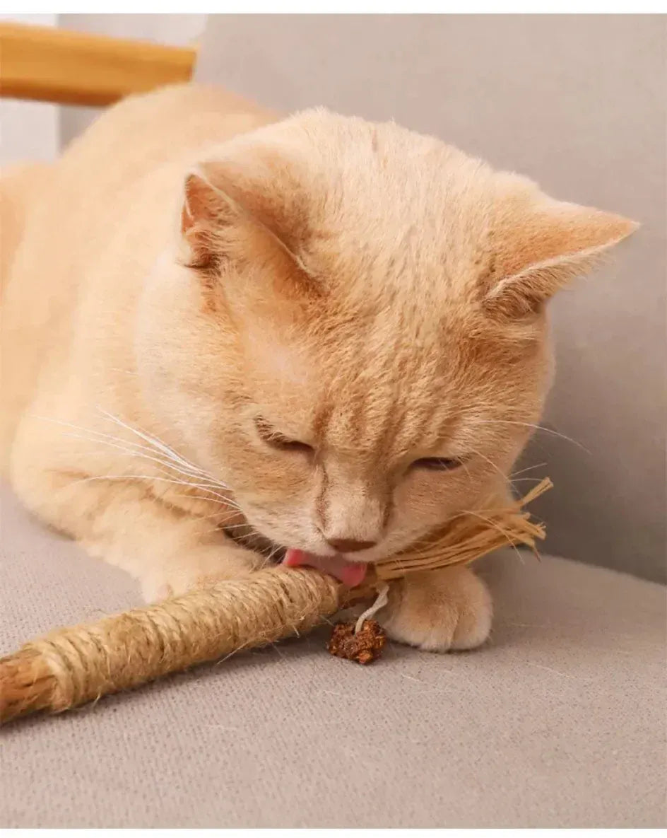 Natural Catnip Chew Sticks - Dental Health Cat Toys Silvervine Matatabi Cat Treats