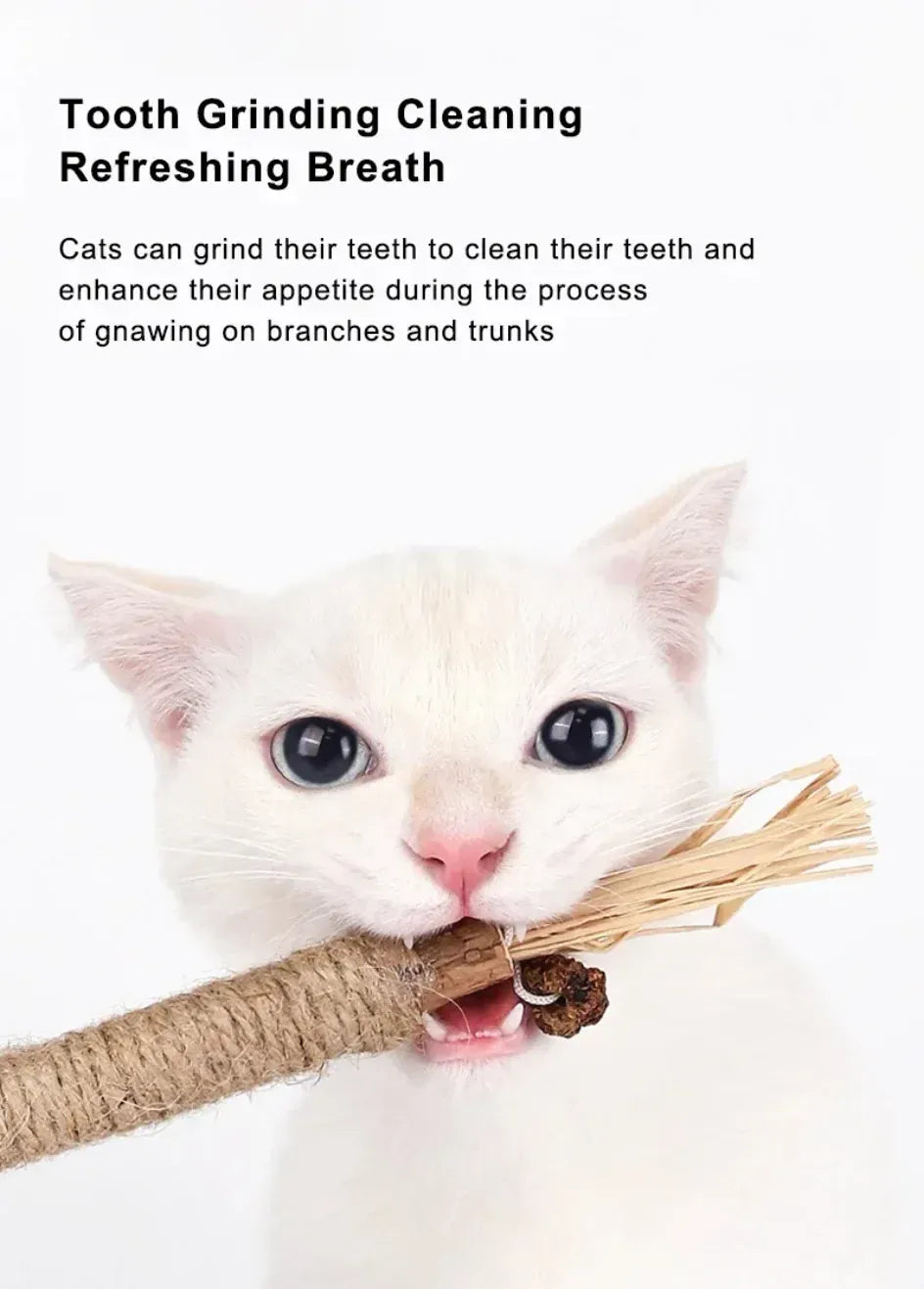 Natural Catnip Chew Sticks - Dental Health Cat Toys Silvervine Matatabi Cat Treats