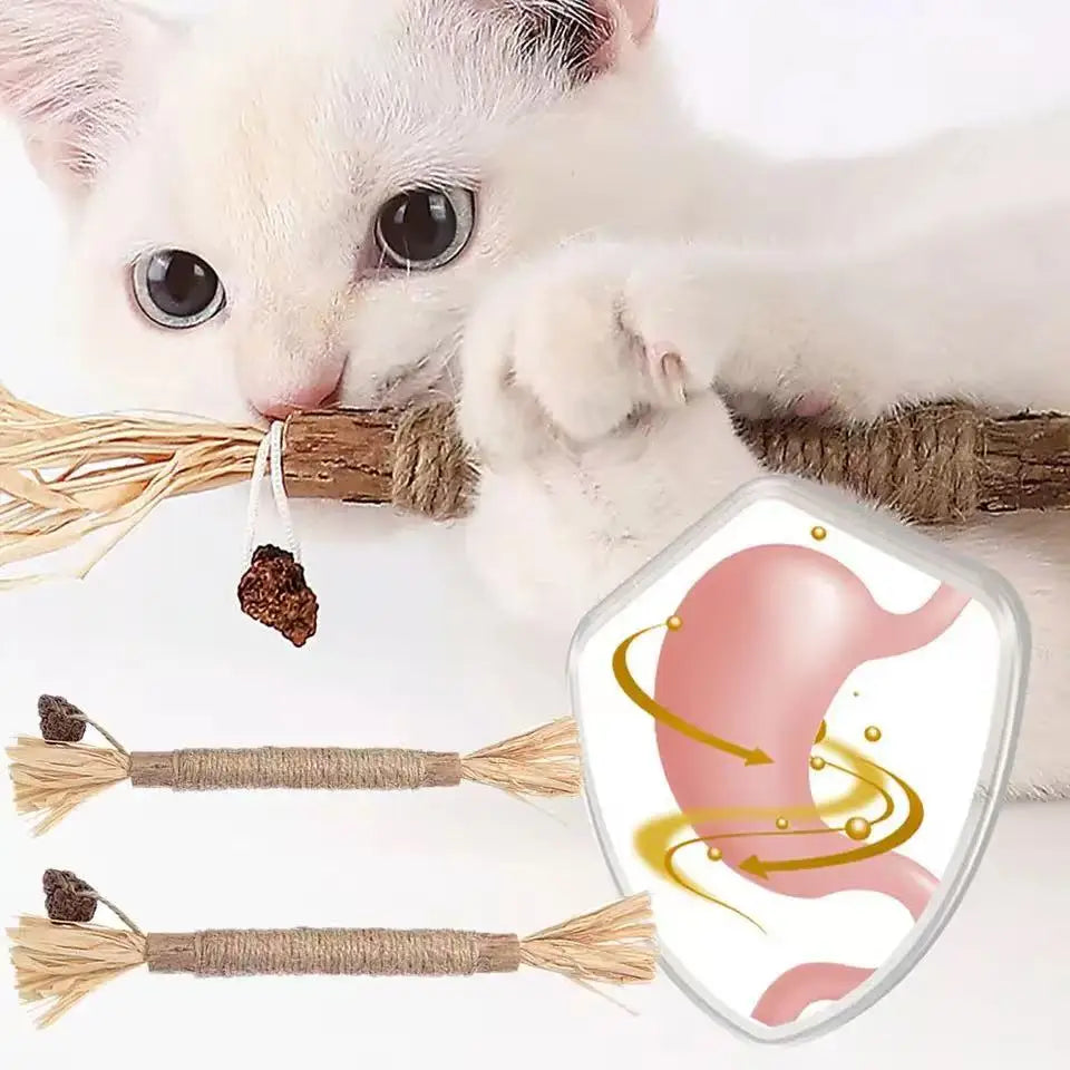 Natural Catnip Chew Sticks - Dental Health Cat Toys Silvervine Matatabi Cat Treats