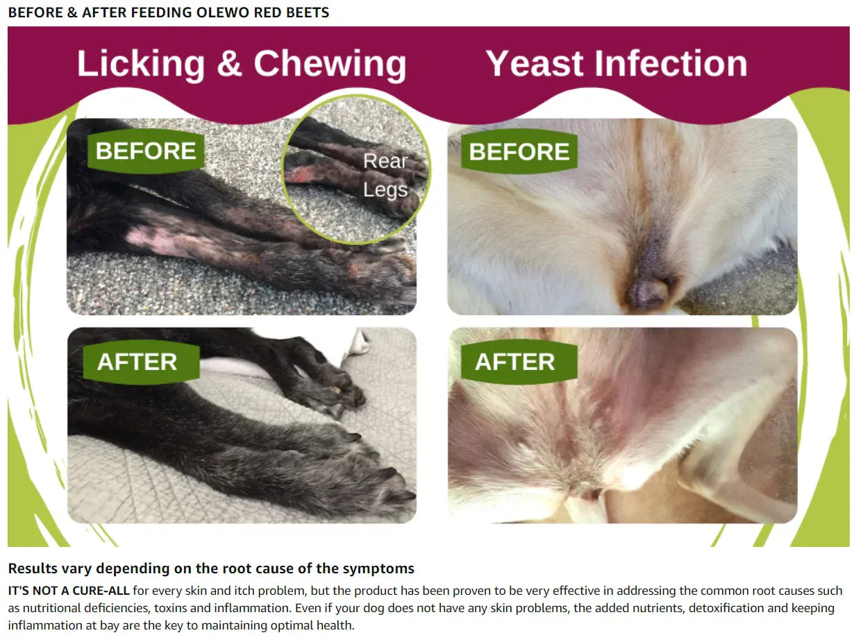 Natural Dehydrated Carrots & Red Beets Dog Food Supplement | Rich in Fiber, Vitamins & Antioxidants | Boosts Digestion, Skin & Coat Health